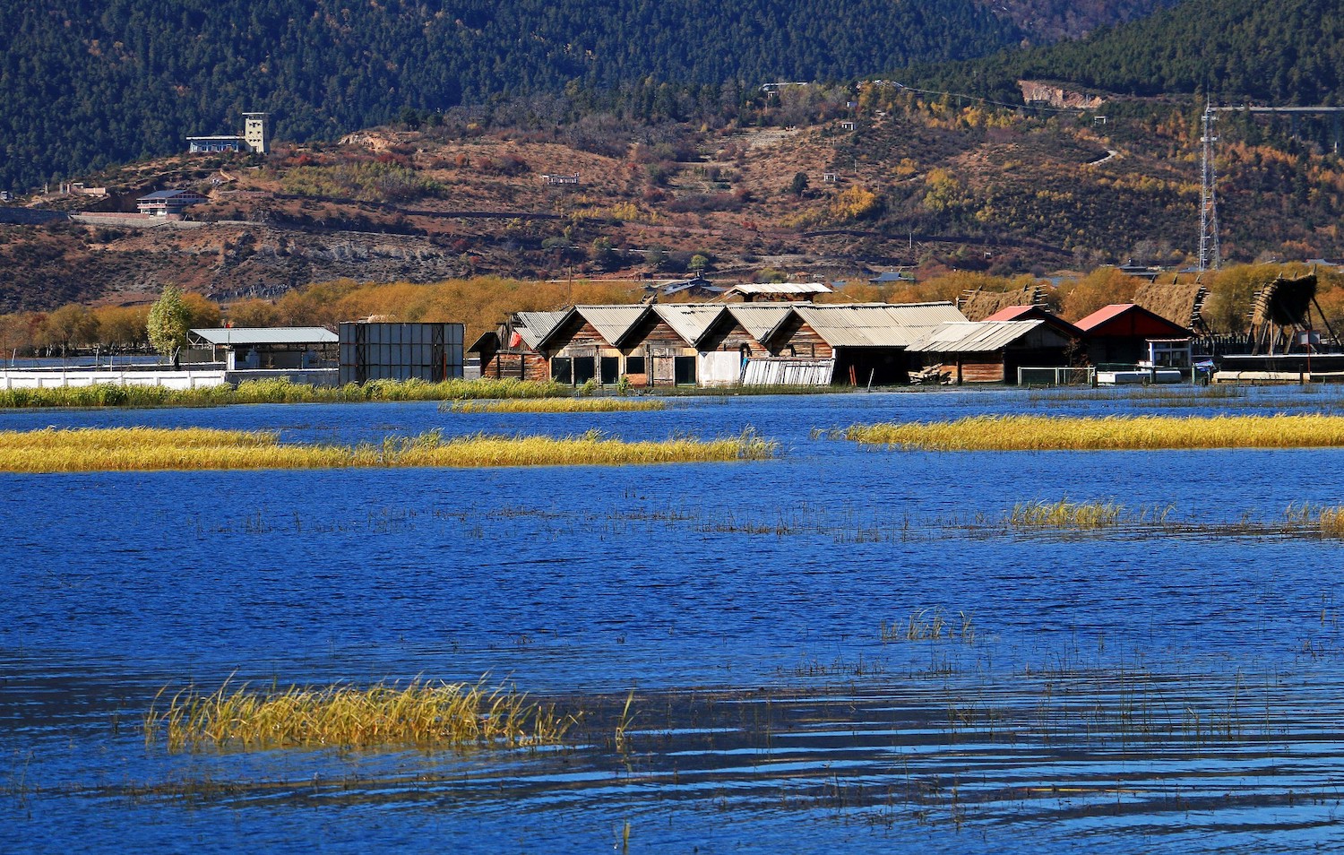 Hồ Napahai